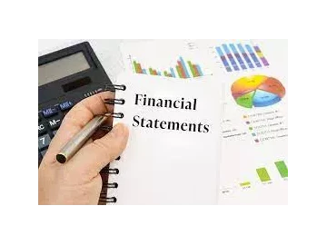 Financial statements, Audited financial statements